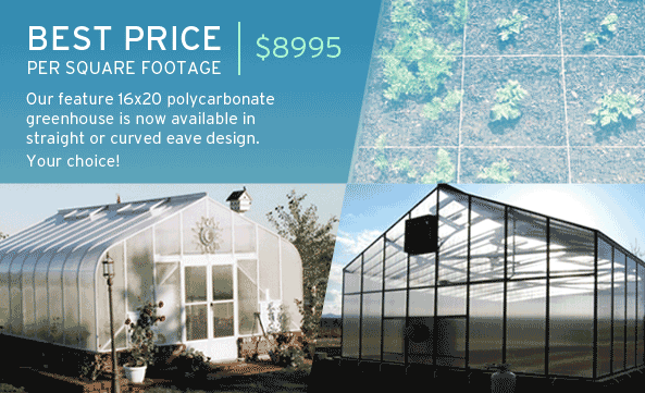 16x20 polycarbonate greenhouse